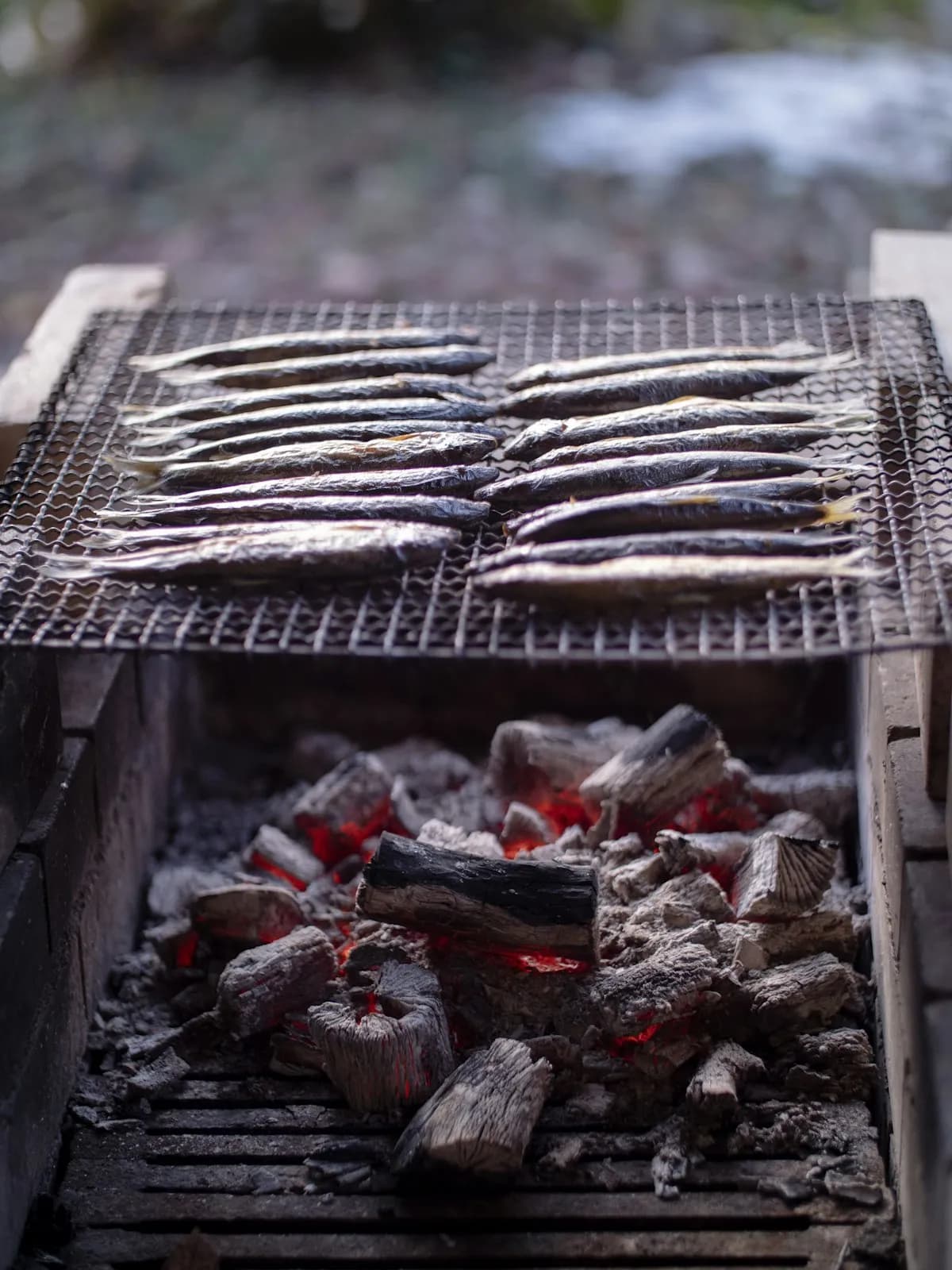 Ayu: The Fragrant River Fish That Heralds the Arrival of Japanese Summer